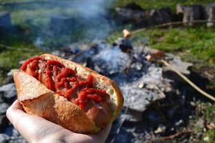 Hot dog - potentziarako kaltegarria den janaria